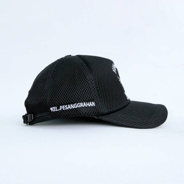Topi-Jumantik2011