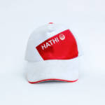 Topi-hathi